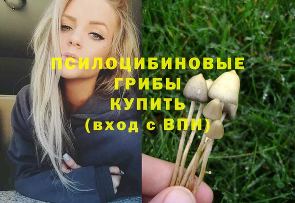 стаф Алзамай