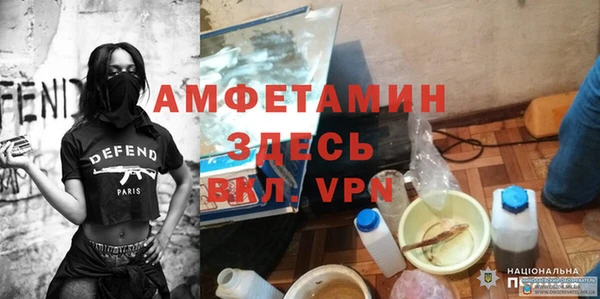 стаф Алзамай