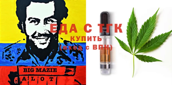 стаф Алзамай