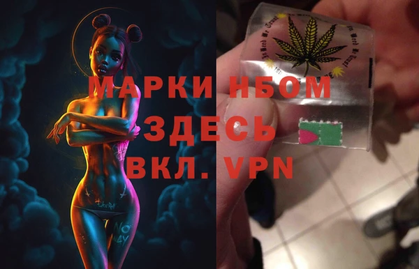 стаф Алзамай