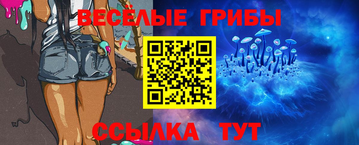 Галлюциногенные грибы Psilocybe Алушта